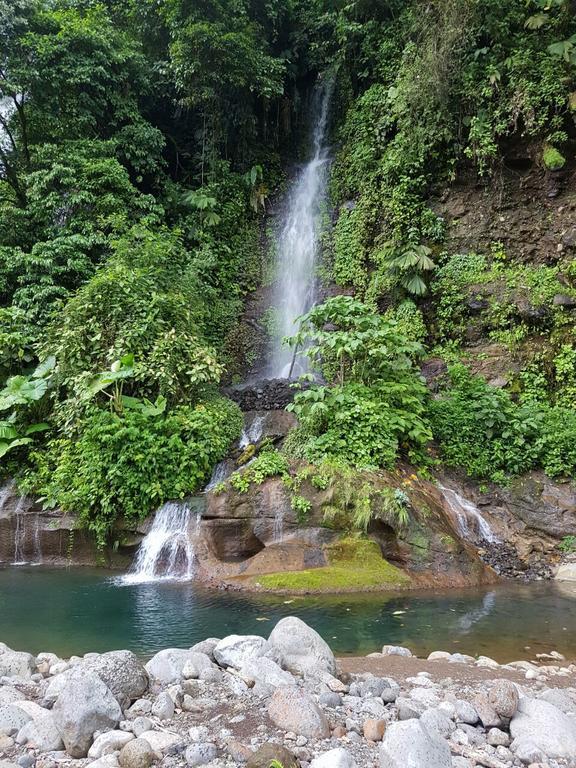 Hostel Orozco - Costa Rica Río Cuarto Dış mekan fotoğraf