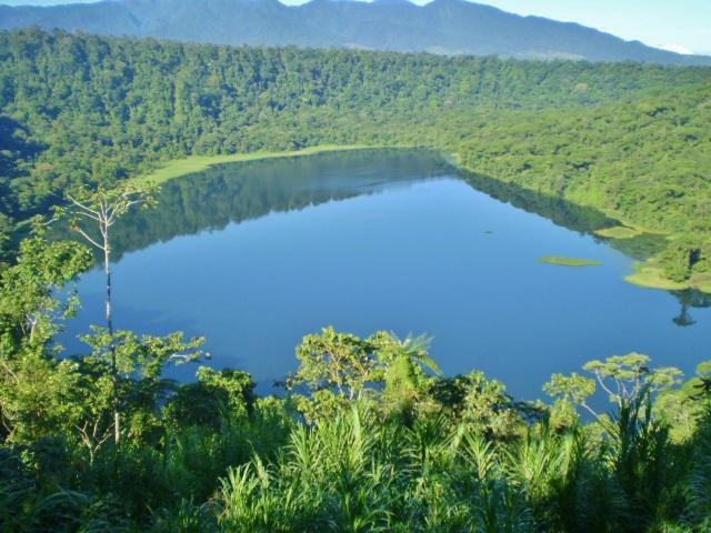 Hostel Orozco - Costa Rica Río Cuarto Dış mekan fotoğraf