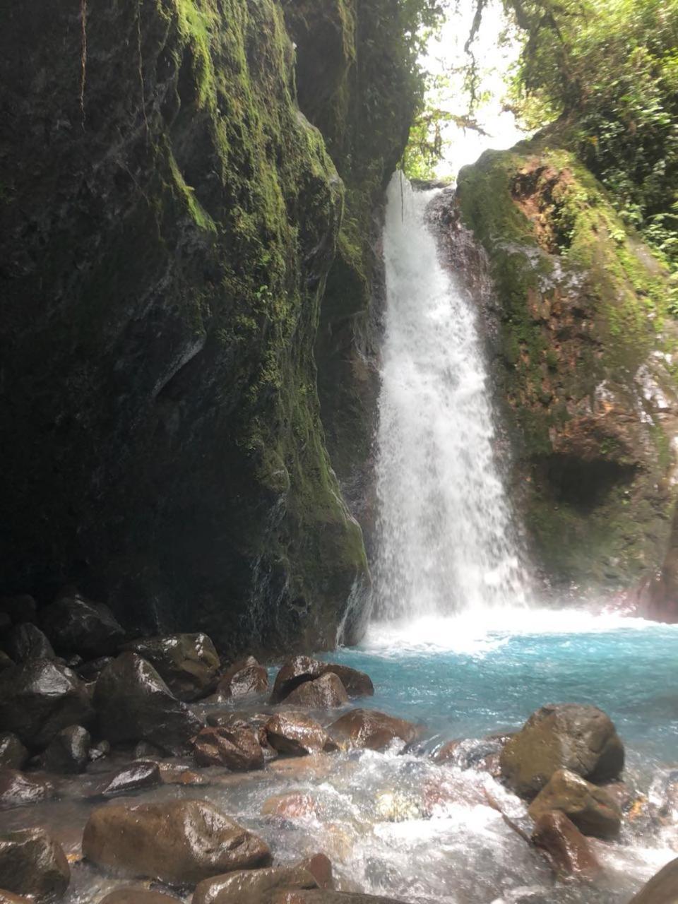 Hostel Orozco - Costa Rica Río Cuarto Dış mekan fotoğraf