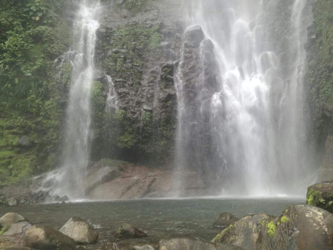 Hostel Orozco - Costa Rica Río Cuarto Dış mekan fotoğraf