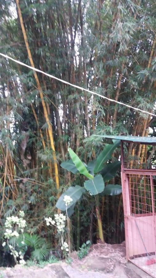 Hostel Orozco - Costa Rica Río Cuarto Dış mekan fotoğraf